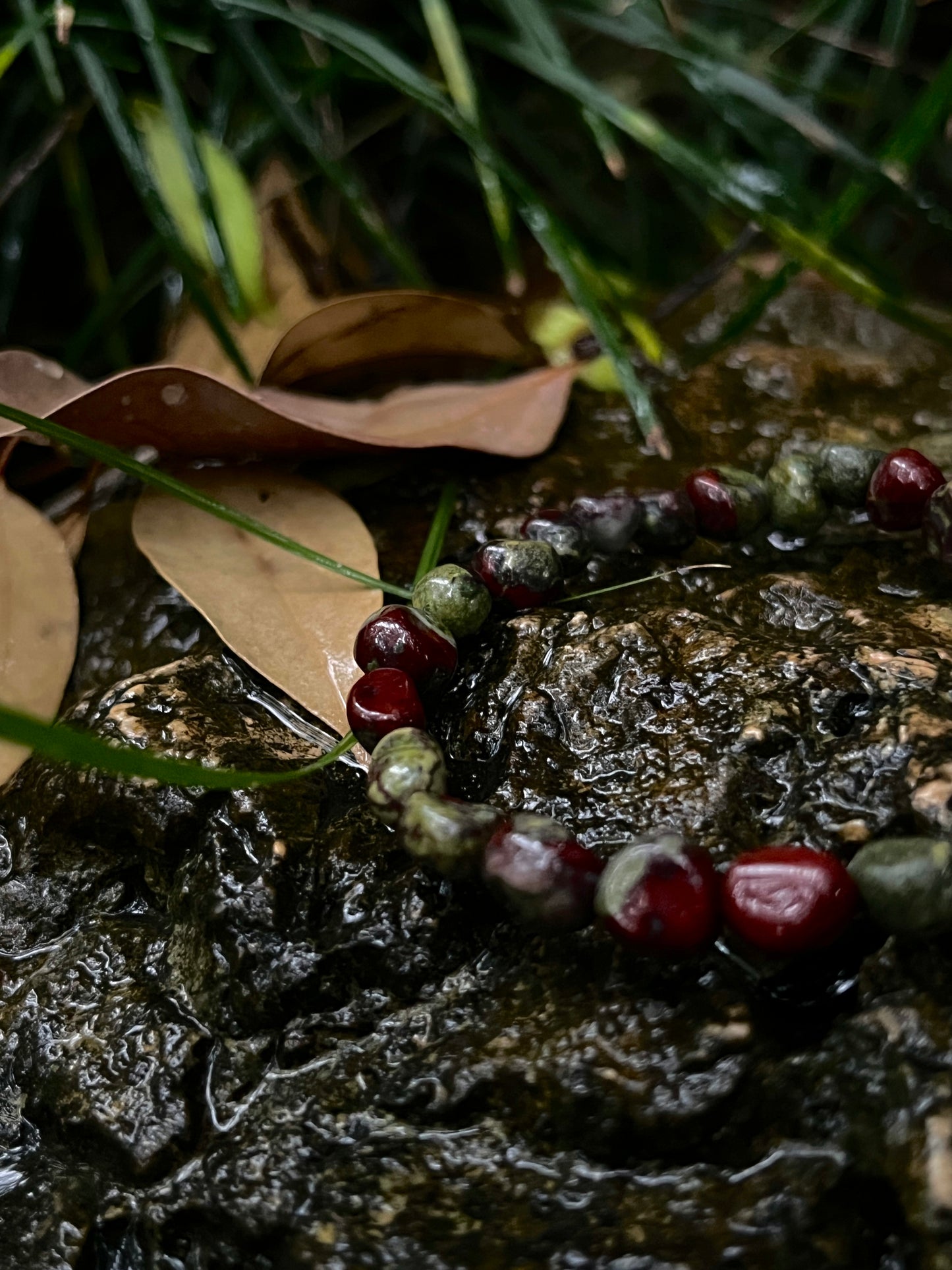 Moss of the Mountain Spirit